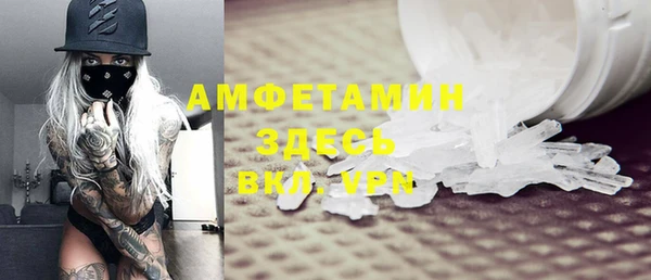 стаф Алзамай