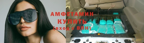 стаф Алзамай
