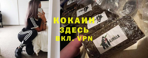 стаф Алзамай