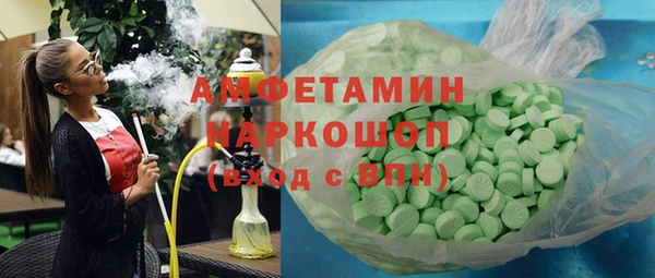 стаф Алзамай