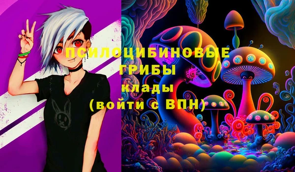 стаф Алзамай
