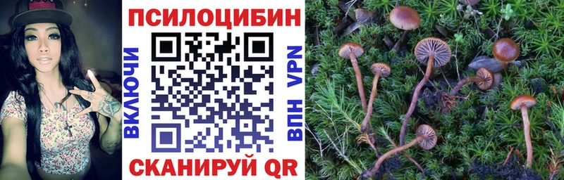 Купить где  Петрозаводск  Галлюциногенные грибы ЛСД 
